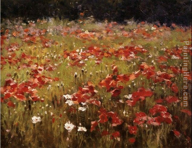 Field of Red Flowers painting - Unknown Artist Field of Red Flowers art painting